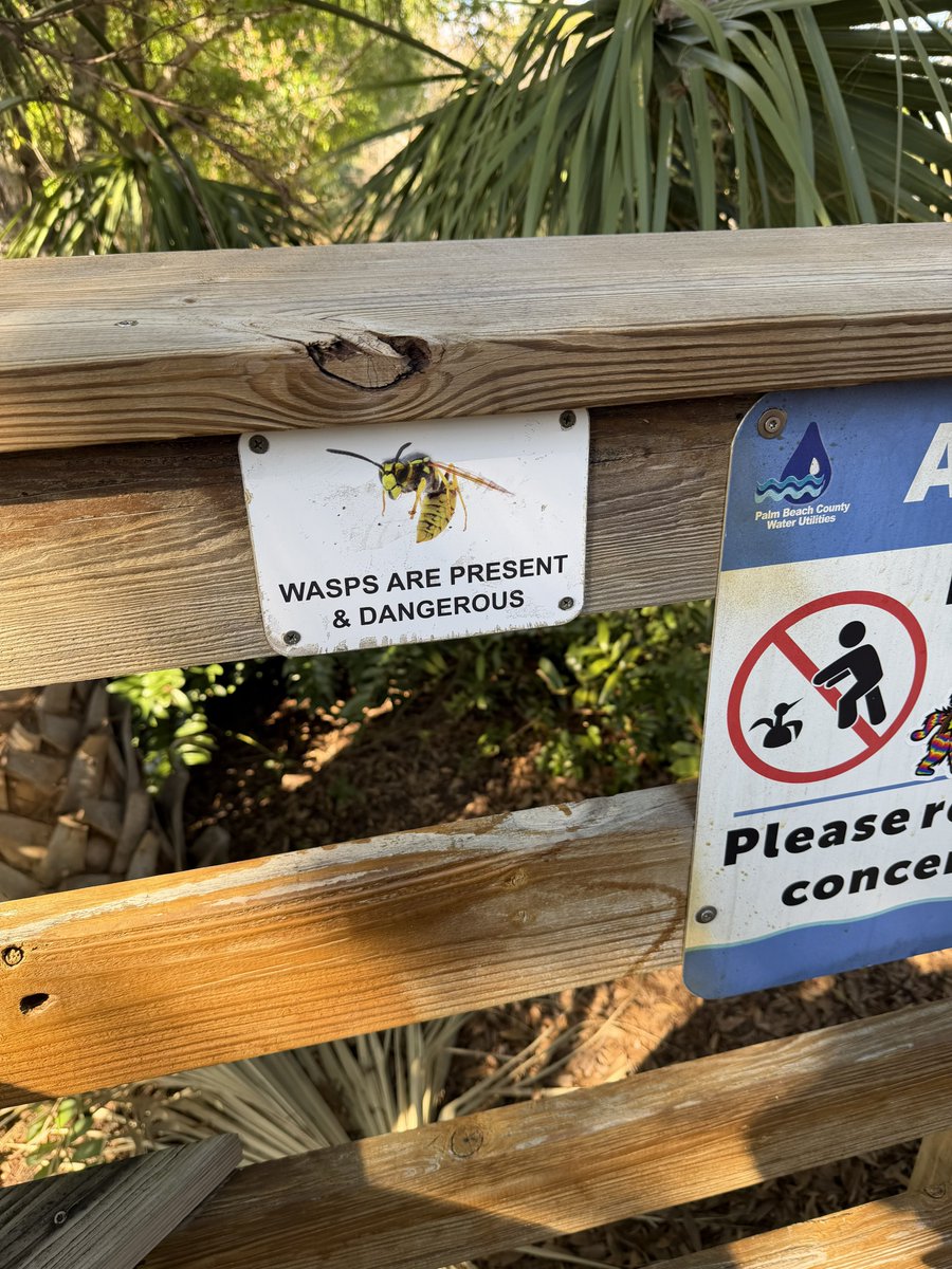 Crisis of Conscience tweet media