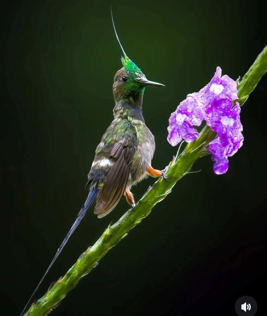 #SharingtheLove 🌼
<a href="/jull7cv/">🐣Jully🐣</a> <a href="/Tinaomp/">TINA</a>
<a href="/AniBaldovinos/">🍃🌻 ANA MARIA 🌻🍃</a>
<a href="/BrettMGWV2/">Brett</a>
<a href="/GRAHAM15583/">🅶🆁🅰🅷🅰🅼</a>
<a href="/halconavicencio/">🌹❤️ELENA MIRANDA V.❤️🌹#E̲l̲e̲M̲i̲r̲a̲n̲d̲a̲</a>
<a href="/MARTHAMUSSY/">⚘MARTHA MUSSY ⚘</a> 
<a href="/ONE_WORLD_UN/">UncleReTweet</a> 
<a href="/2015Suheyla/">Süheyla</a>
<a href="/m1111hr/">Maracuyá</a>
<a href="/monicampon/">Monica 🌼</a> 
<a href="/CLARABENZA/">👠🛍️ CLARA 🛍️👠</a>
<a href="/GRAHAM15583/">🅶🆁🅰🅷🅰🅼</a>
<a href="/papiko7890/">ぱぴこ❤</a> 
<a href="/mgor2021/">🆁🅾🅱🅴🆁🆁🅾🆄🅰</a>
<a href="/swydersk/">Deb #TmPetaL🌹#Resist💙 #NeverTrump Enjoy the ride</a>
<a href="/Maddy1488901/">Maddy</a>
<a href="/AniBaldovinos/">🍃🌻 ANA MARIA 🌻🍃</a>
<a href="/MARTHA_CAN2/">MARTHA 👑</a> 
<a href="/andreawan_/">andre</a>