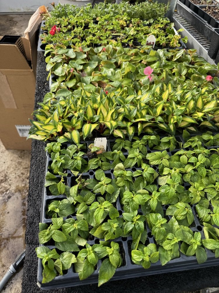 USD 398 Peabody - Burns tweet media