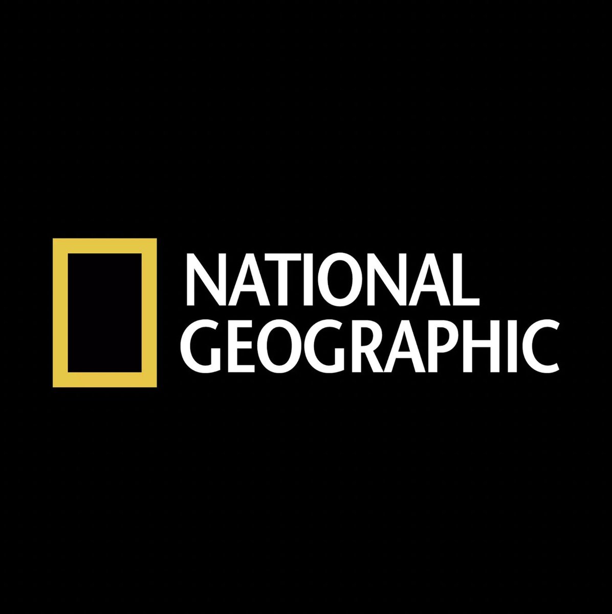 Popstonox's tweet photo. National Geographic is partnering with conservationist and streamer Maya Higa for their new "Creator Cohort" initiative 

(via @THR)