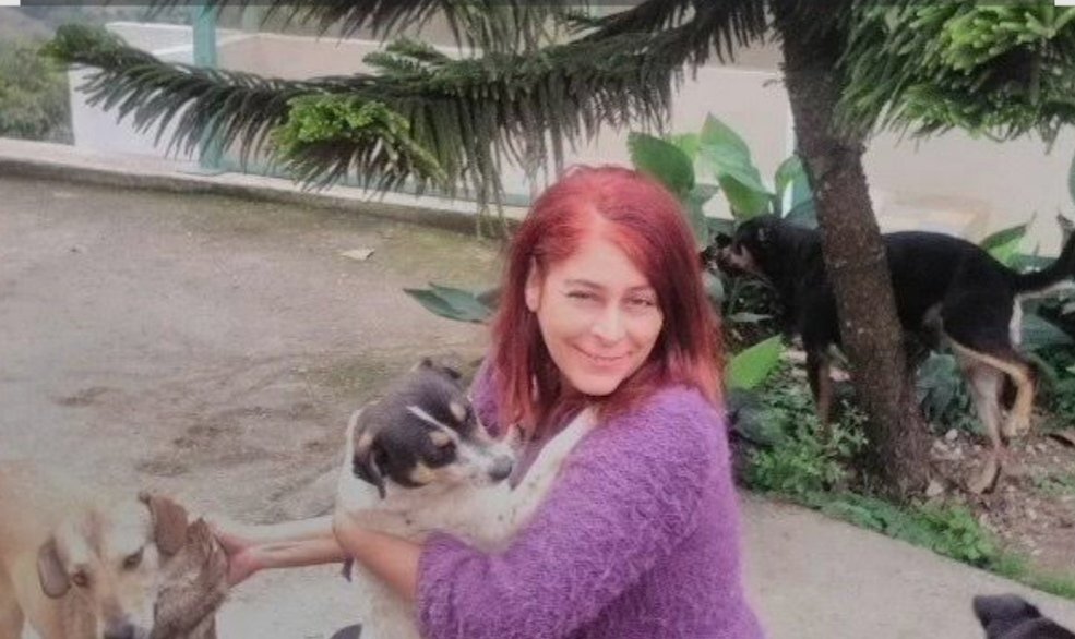 Elvin Barreto tweet media