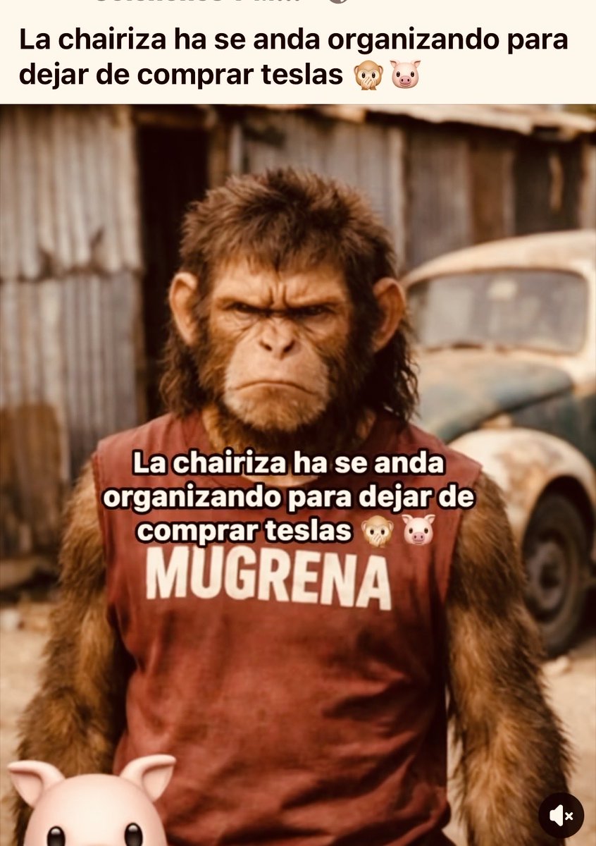 Maria Castro (@mariaca41952803) on Twitter photo 