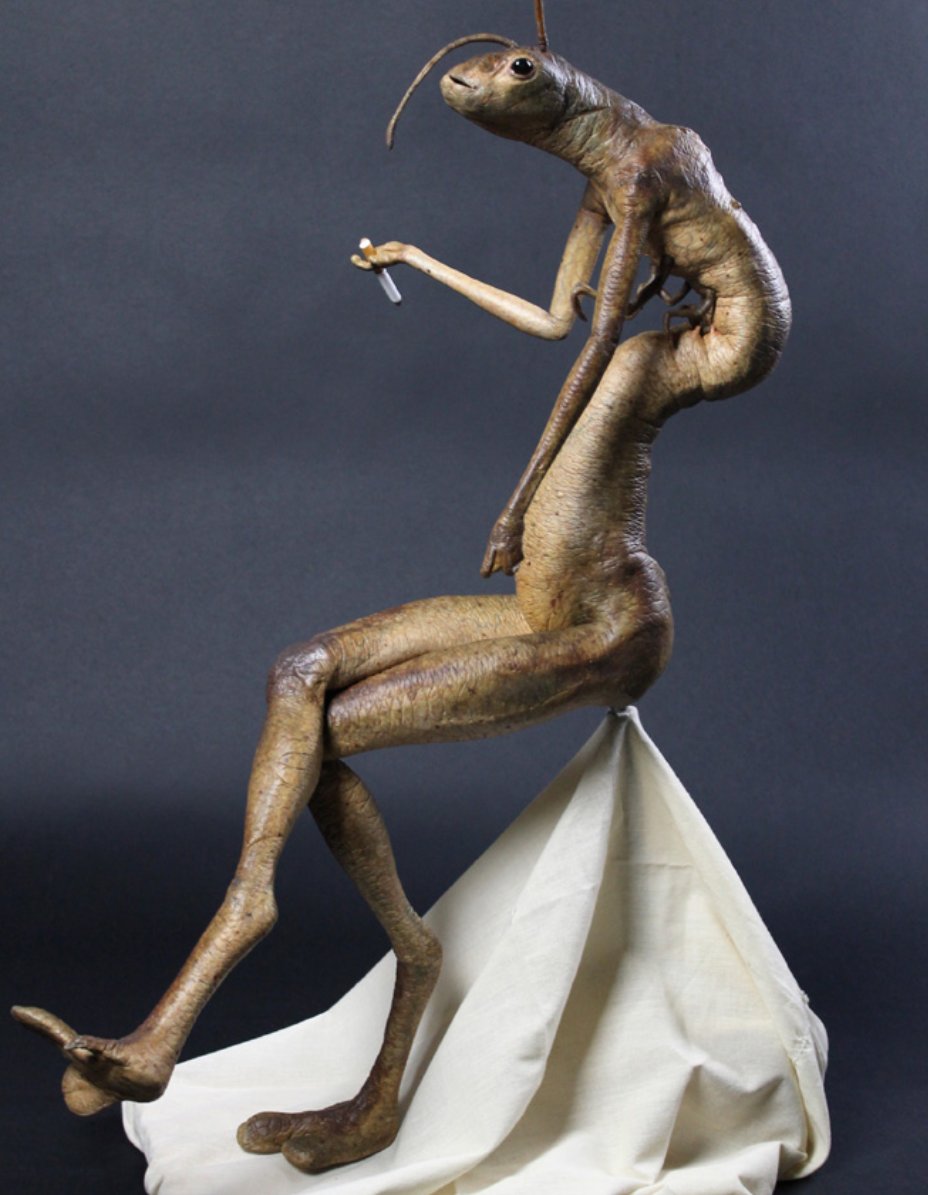 King Crabe tweet media