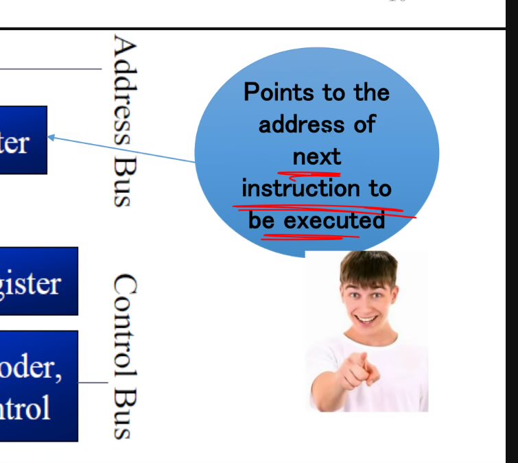 ضحكت قلت غريبه حاطينها بالسلايدات 
نسيت اني كنت اسوف