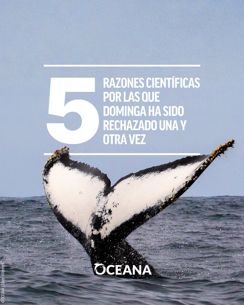 Oceana en Chile tweet media