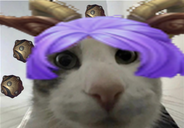 ArtistBuild's tweet photo. For no reason at all: Theorycrafting on Yunara Builds.  #LeagueOfLegends https://t.co/3FZXftHTN2