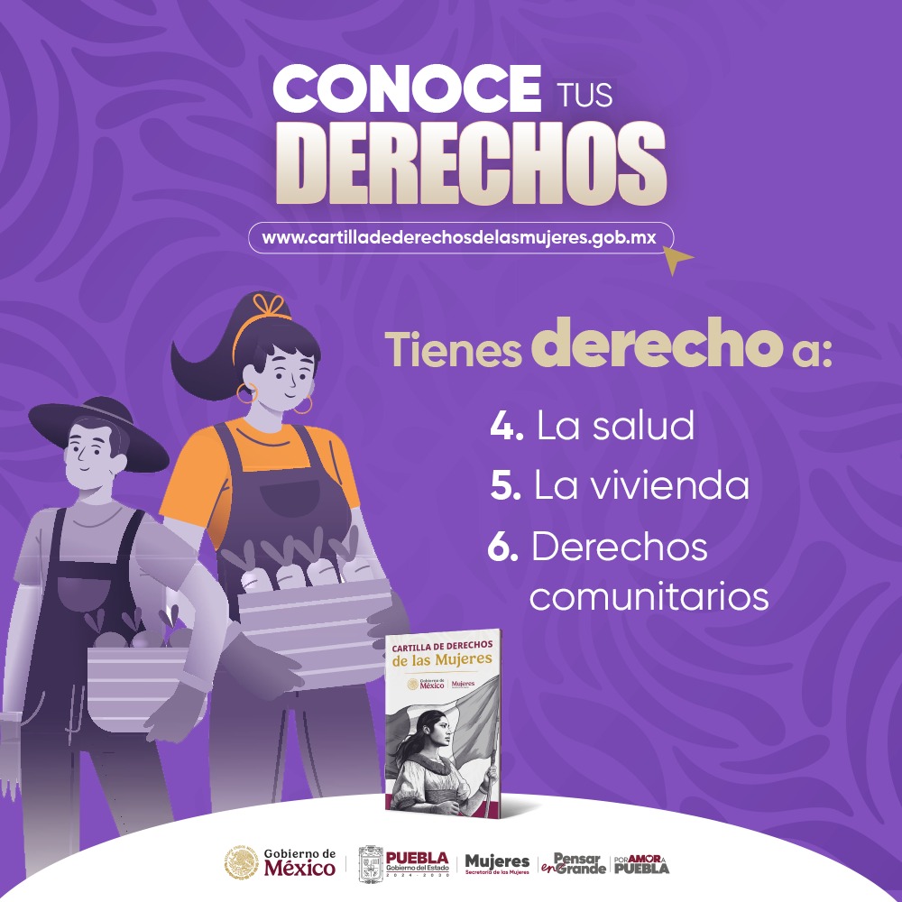 Secretaría de las Mujeres tweet media