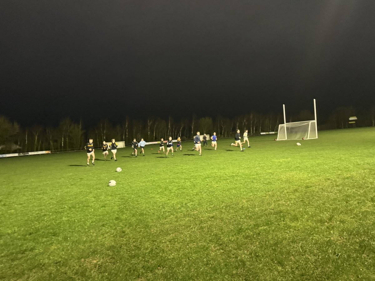 ellen_meagher's tweet photo. First night out here in Tullogher Rosbercon with the U14 boys… warmed up with abit of hurling on to some S&amp;C then some big ball work…. Well done to all great first night 👏🏼👏🏼 #gaa #gpo #gamesdevelopment https://t.co/FfBXhvwn87