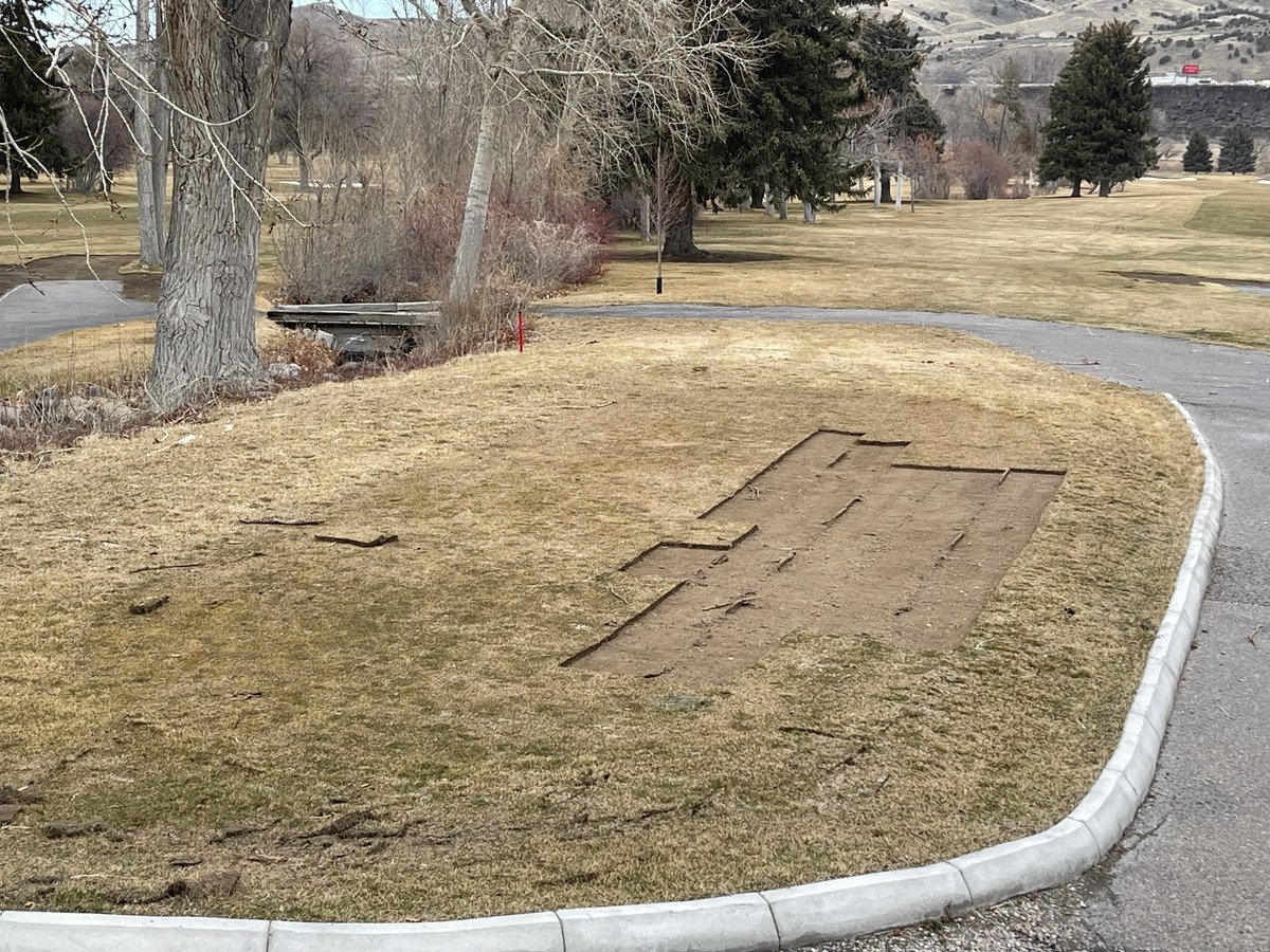 Richard Young tweet media