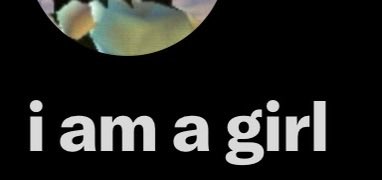 evy ™️ tweet media