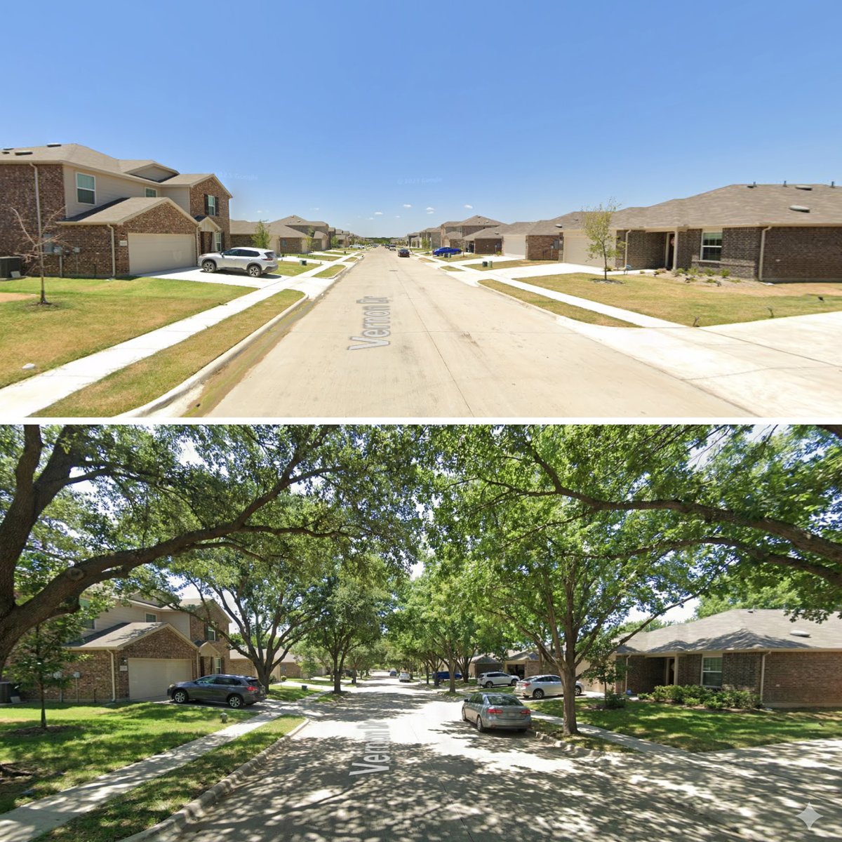 The difference between a street with and without a tree canopy is striking. It’s hard to overstate how important street trees are to the health of a neighborhood and should be seen as a public good.