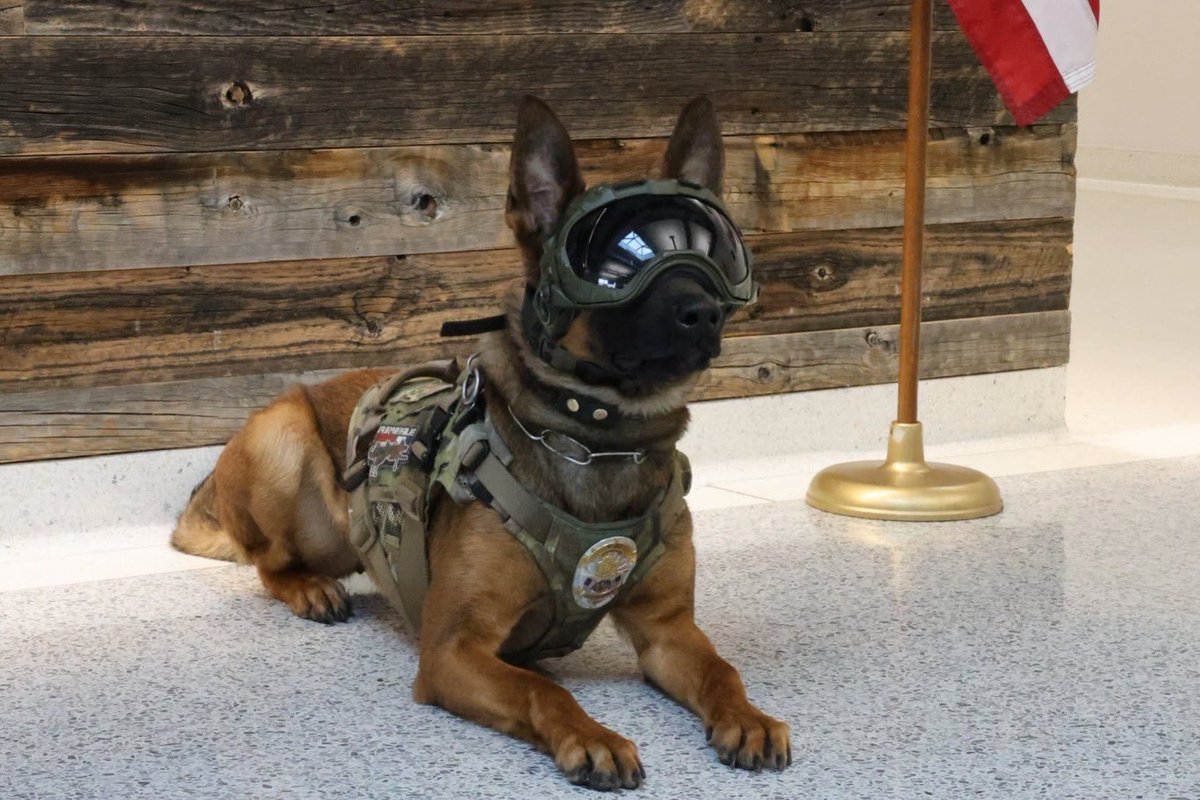 Cheyenne Police Department tweet media