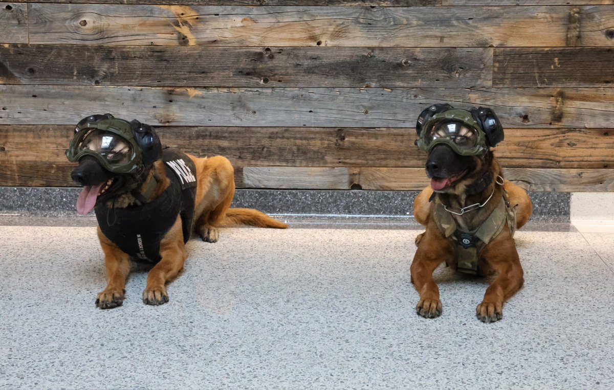 Cheyenne Police Department tweet media