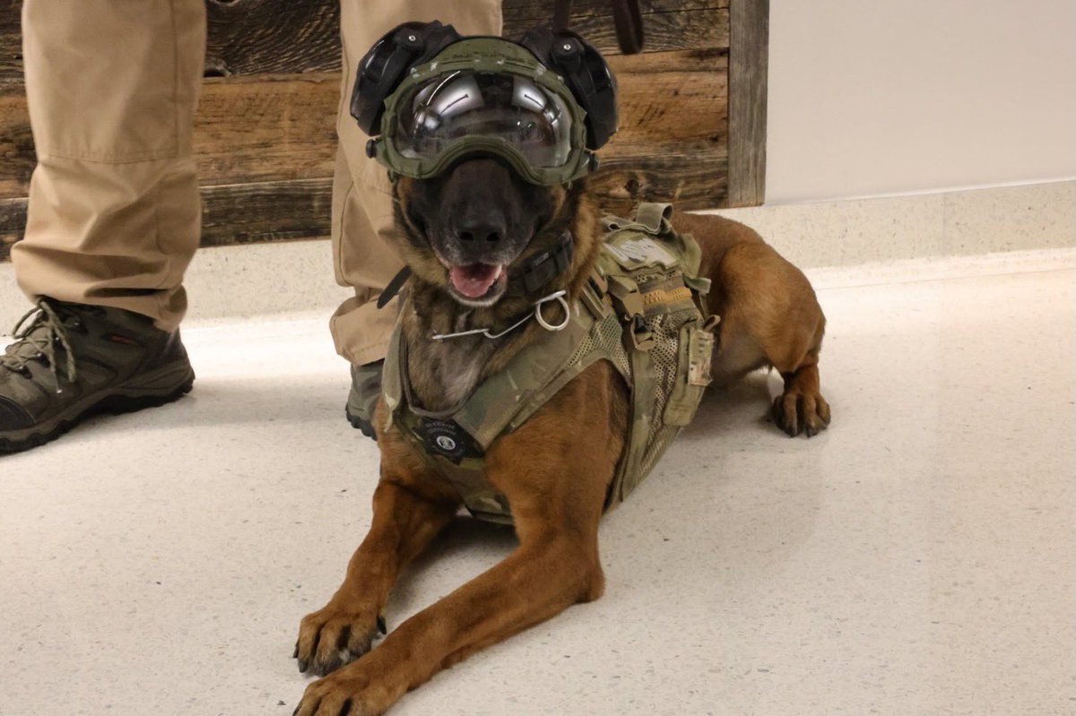 Cheyenne Police Department tweet media