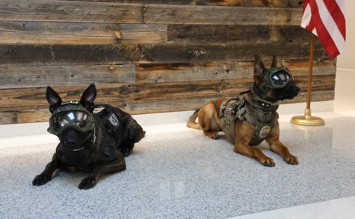 Cheyenne Police Department tweet media