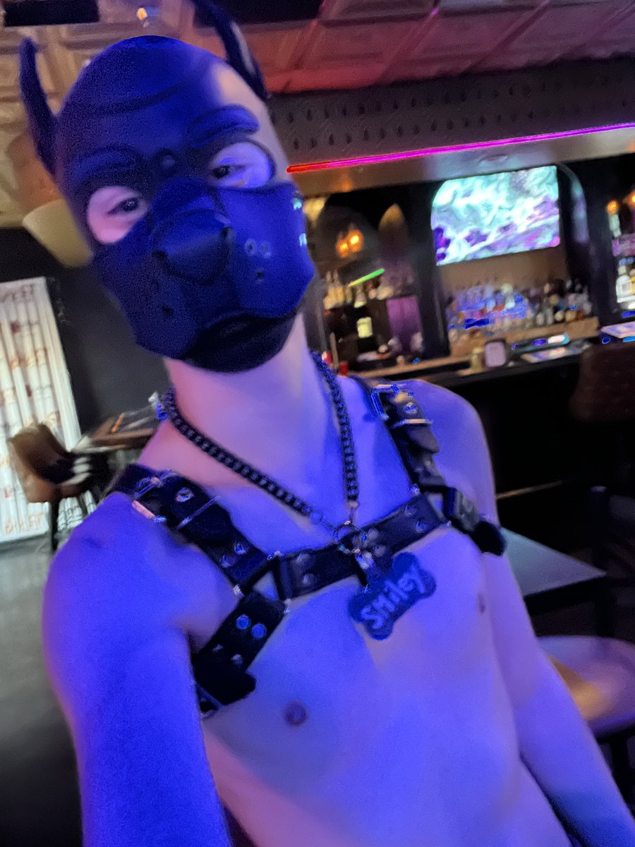 PupSmiley25's tweet photo. Hey there my lovely’s! I started a instagram for pup posts if that’s you’re thing please for follow ~pupsmiley25~ 🐶💙 https://t.co/ljutz53AD7