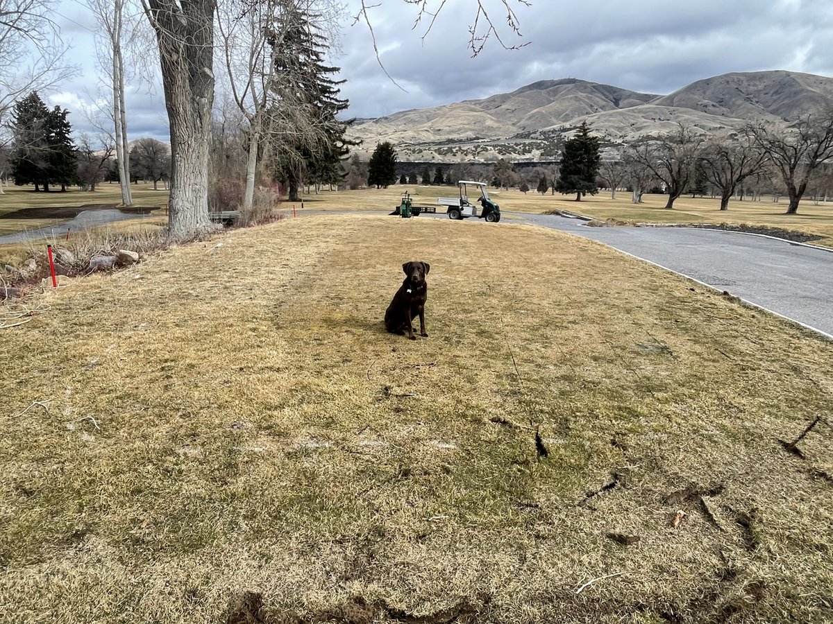 Richard Young tweet media