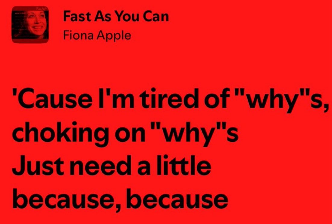 Letícia (@yxakirves) on Twitter photo 