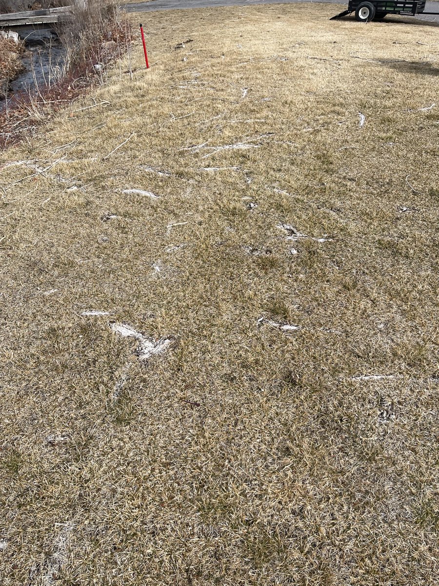 Richard Young tweet media