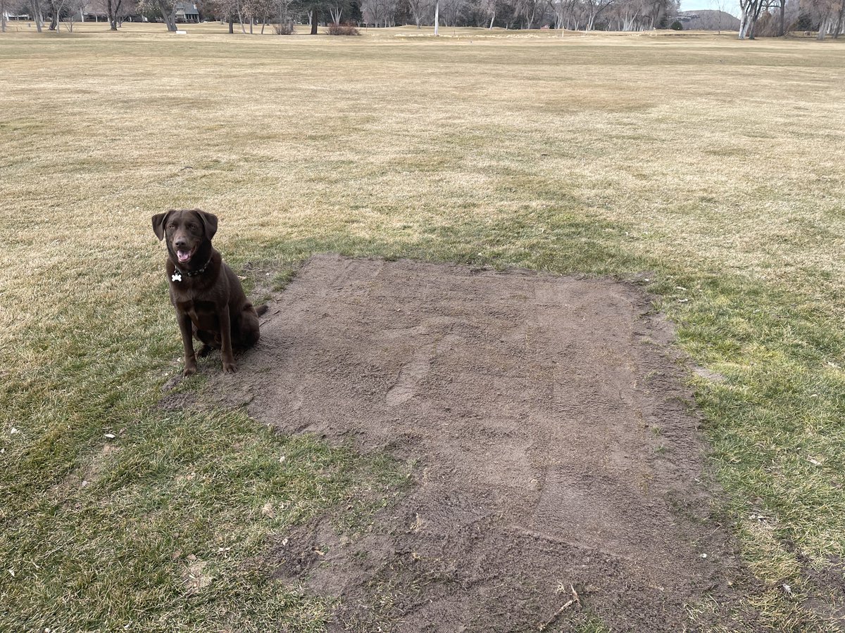 Richard Young tweet media