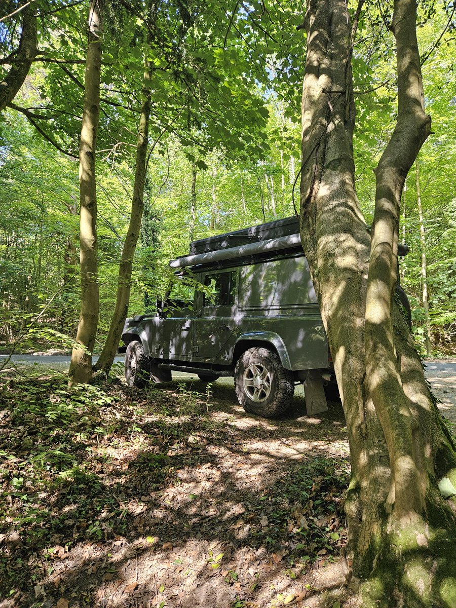 TSD Chhubohe and RSD Oppo (RIP) tweet media