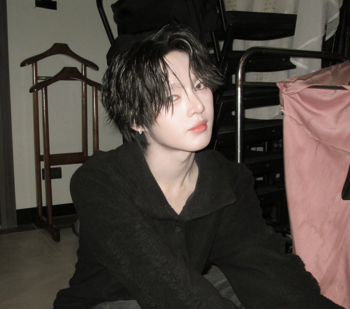 The puppy.                             His diva