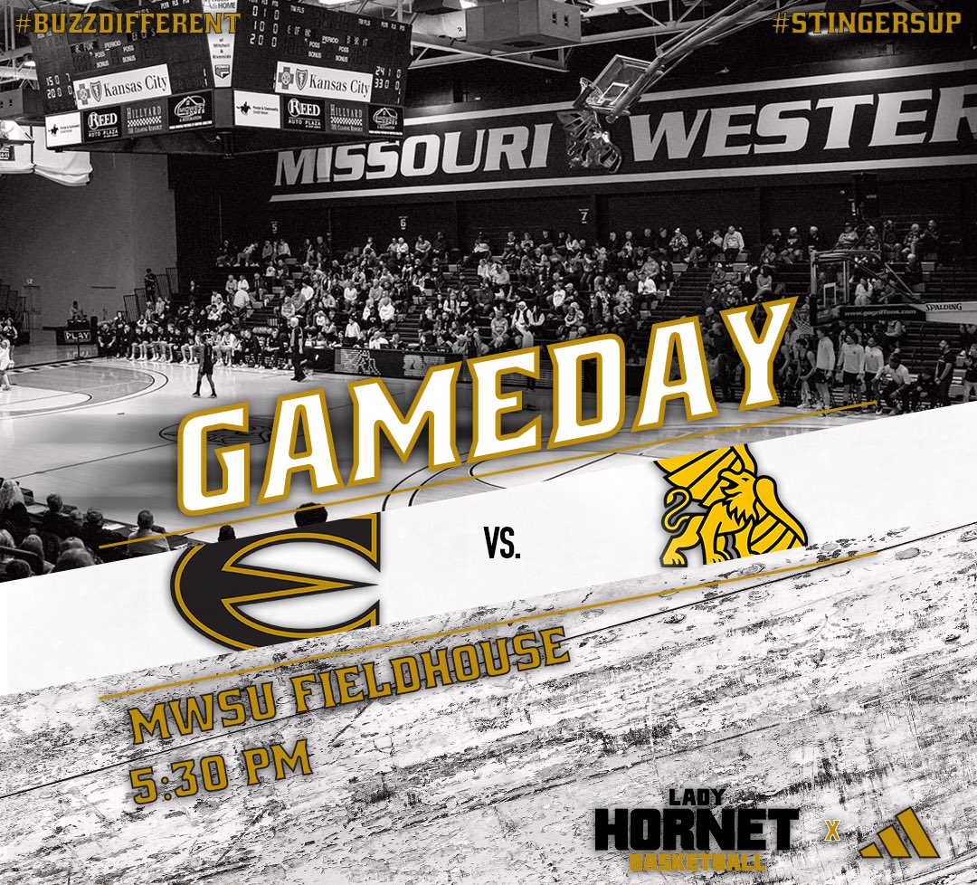 Emporia State Lady Hornet Basketball tweet media