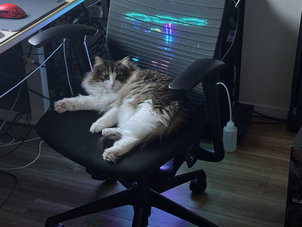 broooock (@broooockWT) / Posts / X