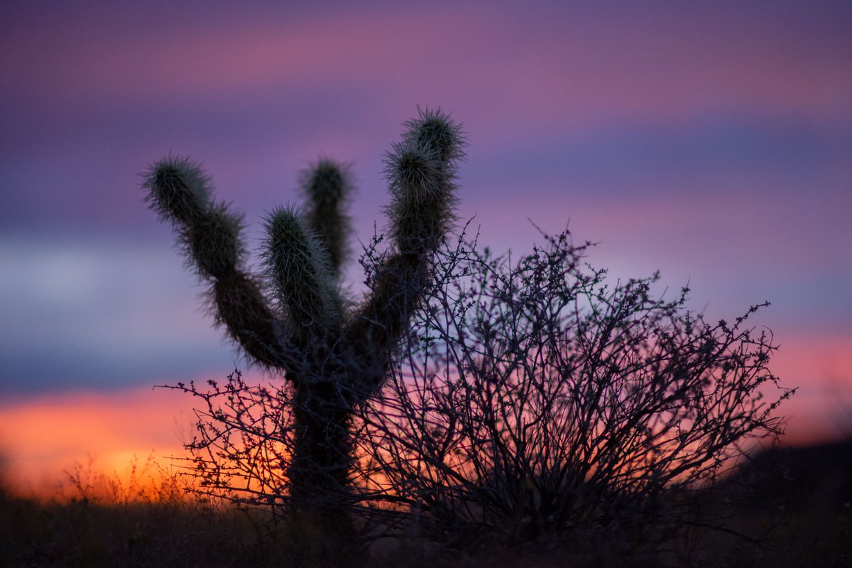 Ejido El Bajío tweet media