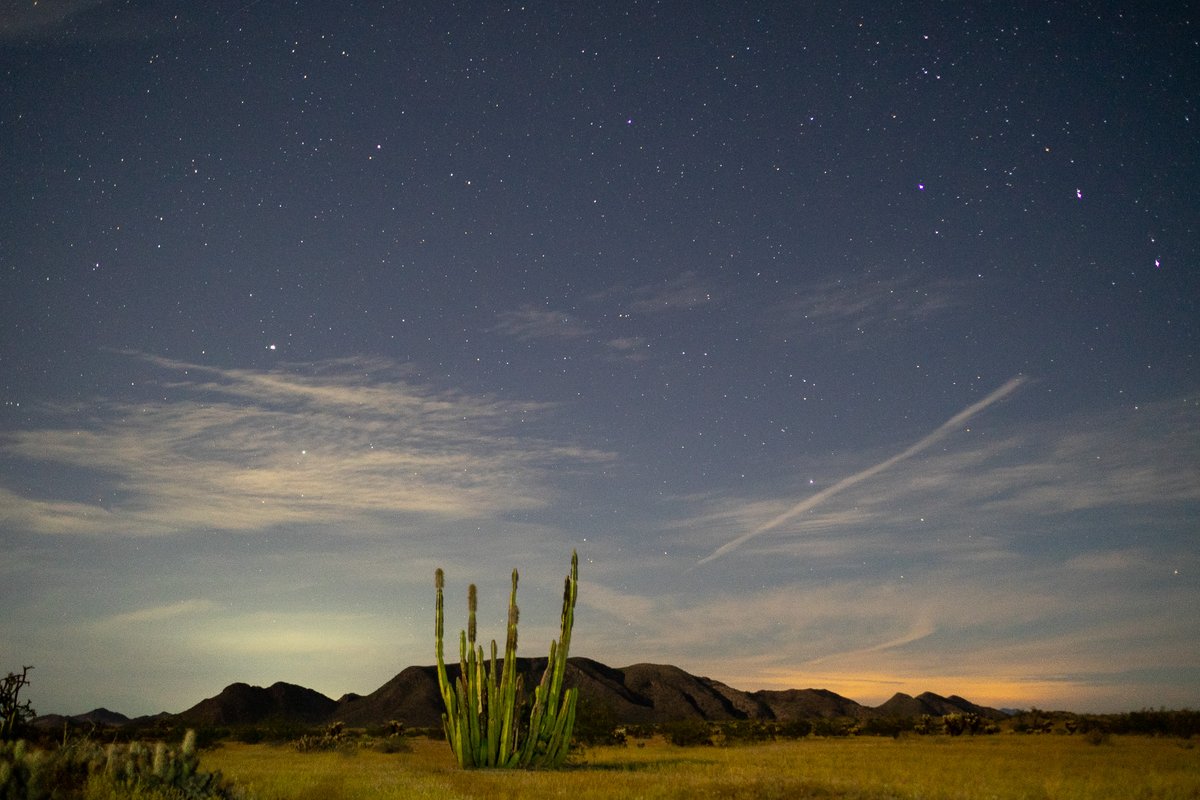 Ejido El Bajío tweet media