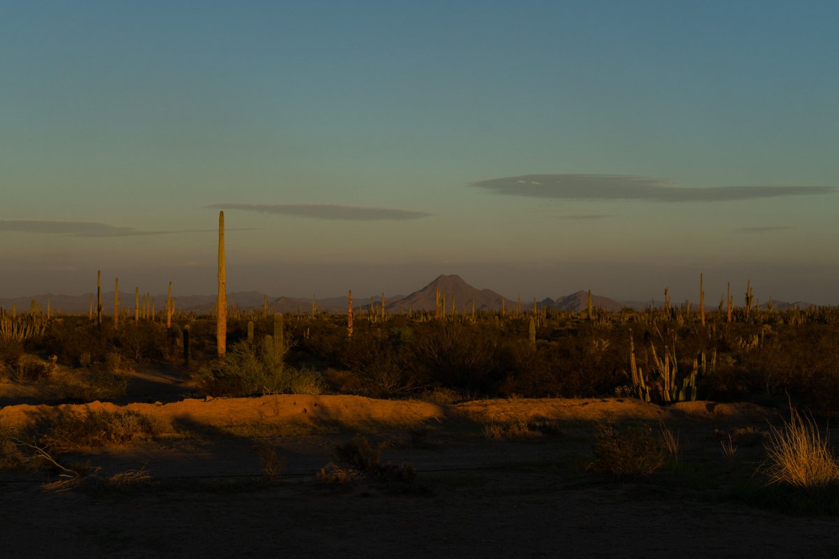 Ejido El Bajío tweet media