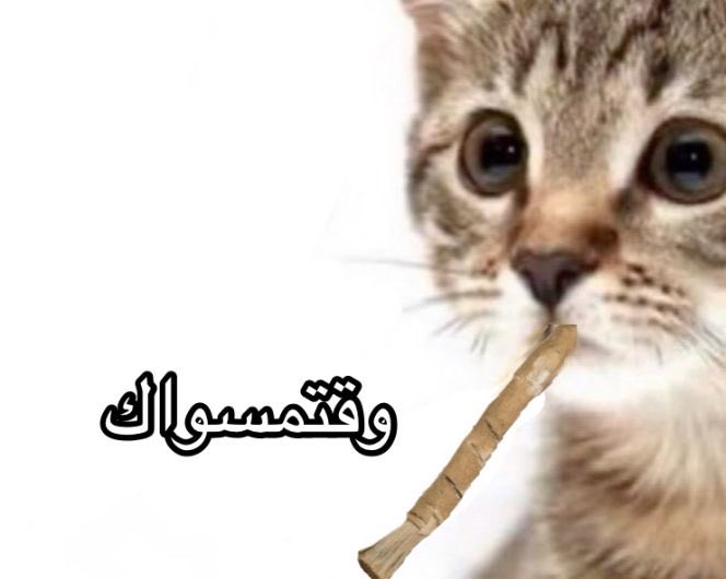 غامظ tweet media