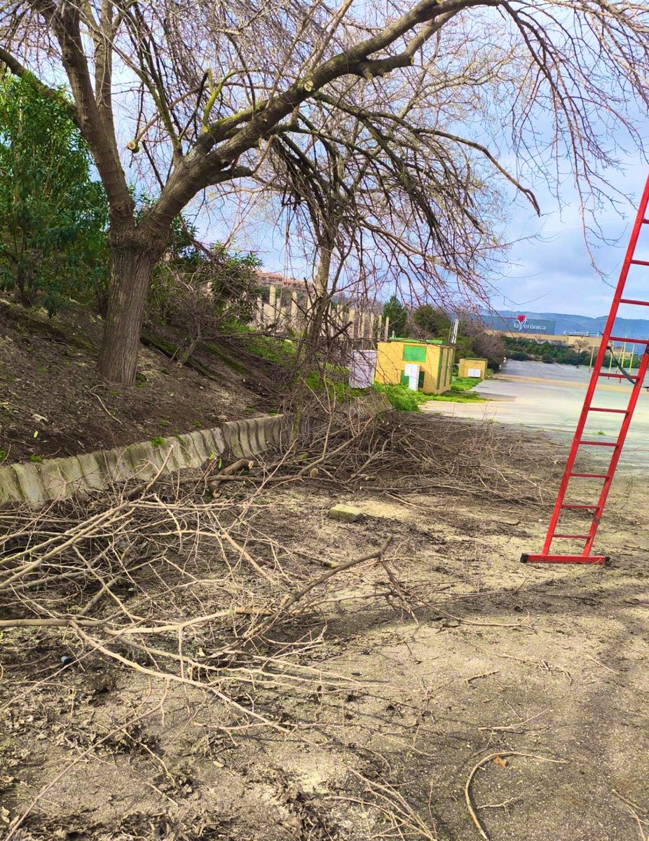 🌿 #ATiendeQ en las zonas verdes
Trabajos de poda y mantenimiento en los árboles ubicados en el Recinto Ferial

¿Quieres contactar con nosotros?
📲 En la #APP de ATiendeQ
✅ En WhatsApp: 689 41 02 95