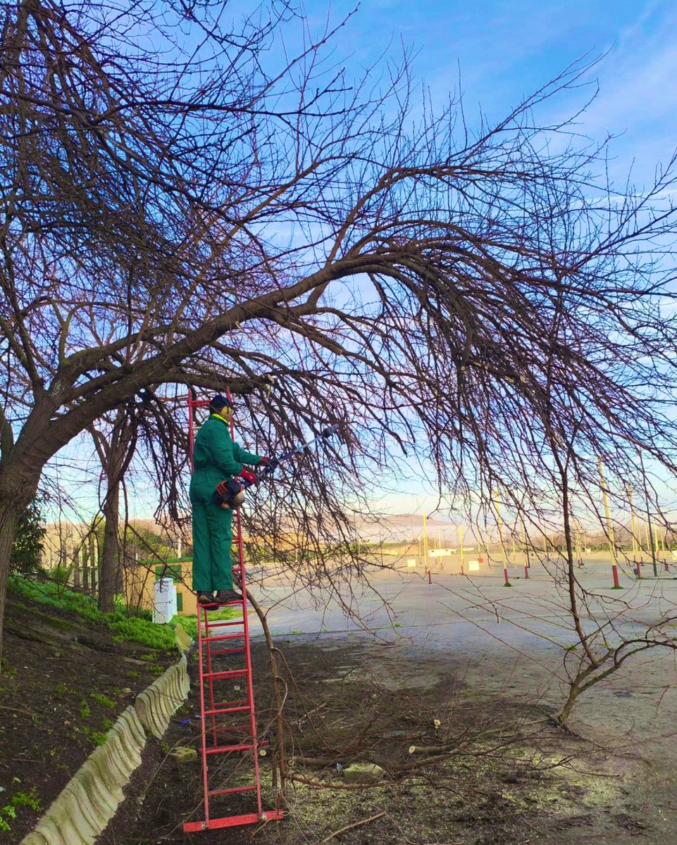 ATiendeQ tweet media