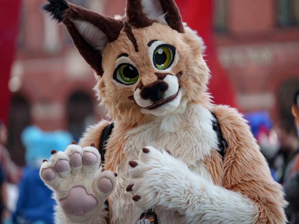 BeerYeener's tweet photo. Some pics from #NFC2026 
First time trying out furry portraits! 
Had a lot of fun📸 https://t.co/kphktlFwnz