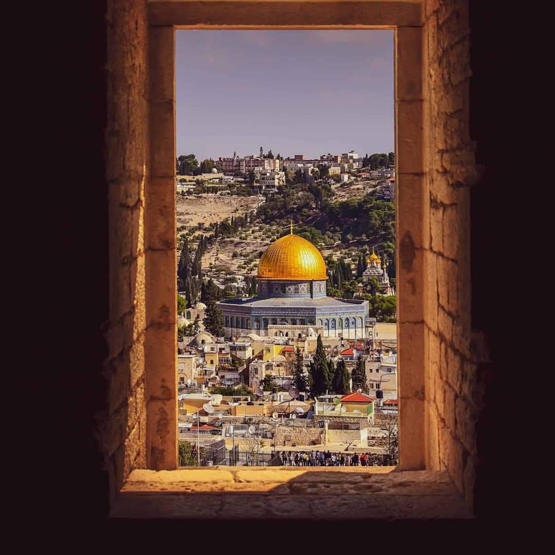 בני חורין של העולם,
אל תפחדו לעולם ואל תדאגו.
אנחנו ננצח✌️
תעבירו את הבשורה הזאת לכולם.