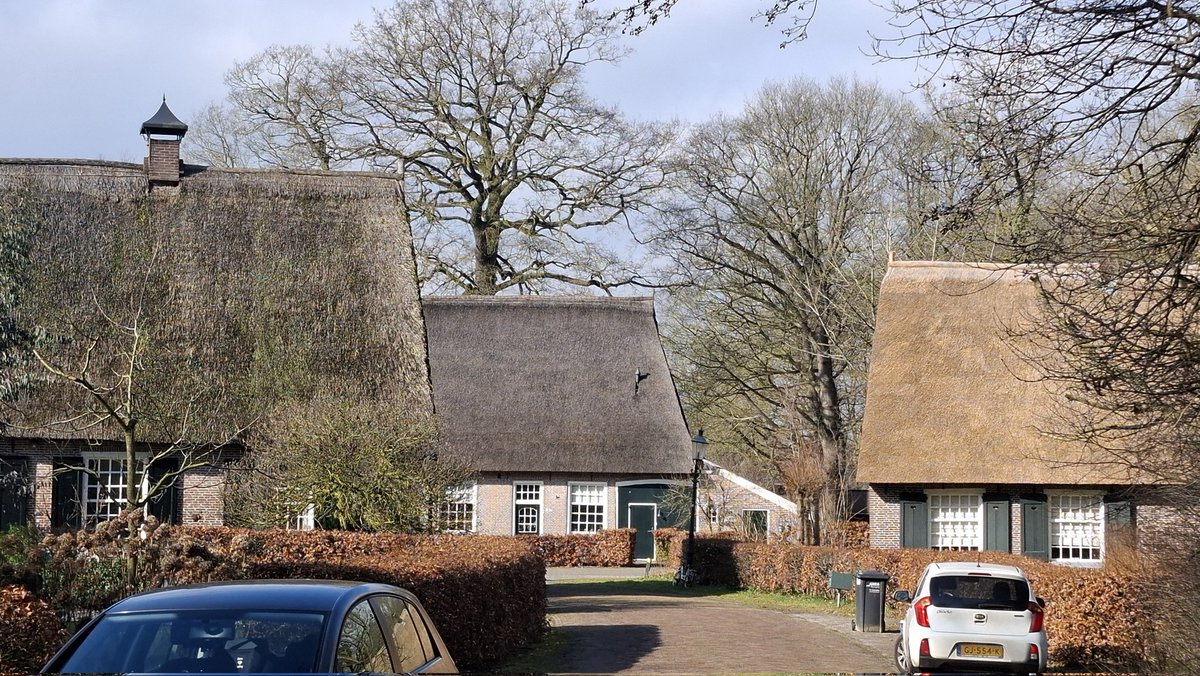 Jeroen Vogel tweet media