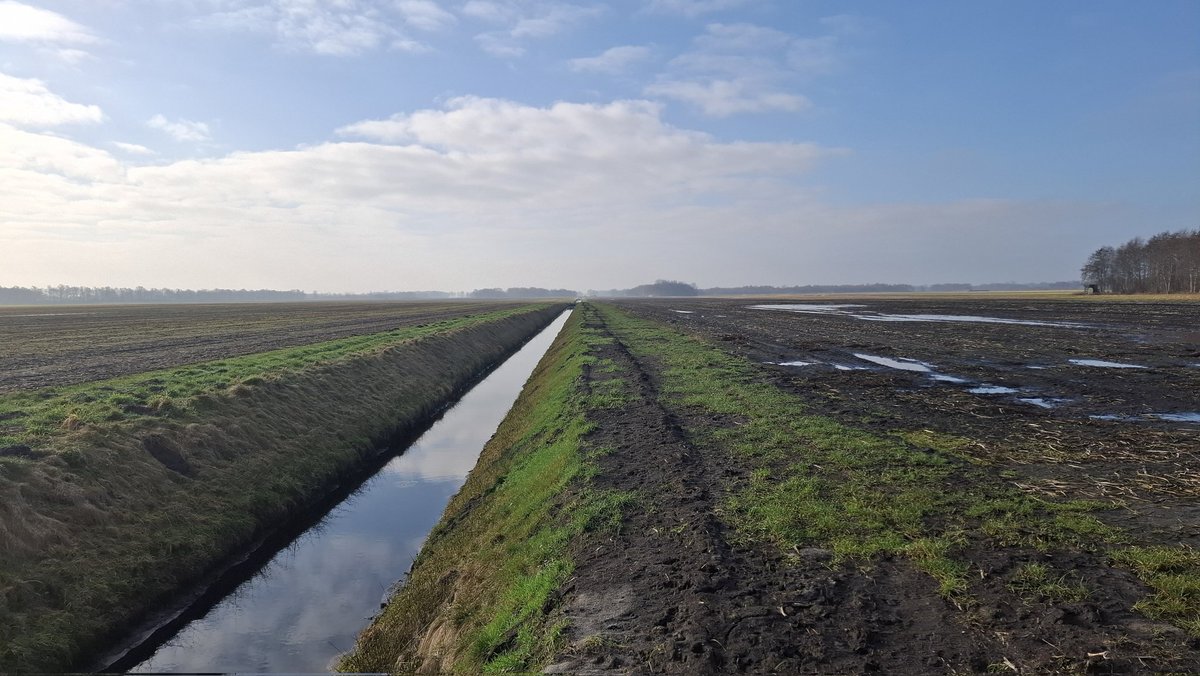 Jeroen Vogel tweet media