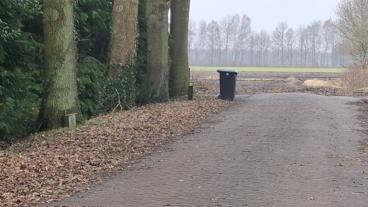 Jeroen Vogel tweet media