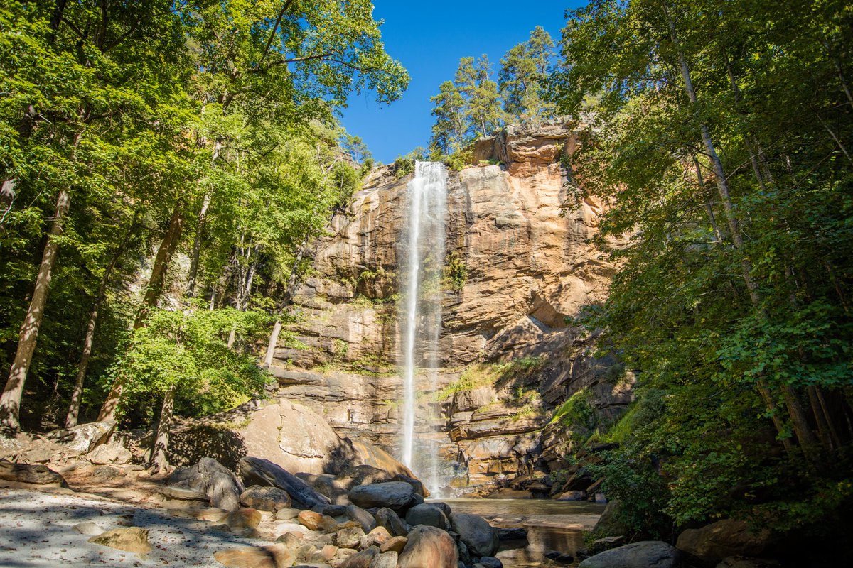 Georgia DOT tweet media