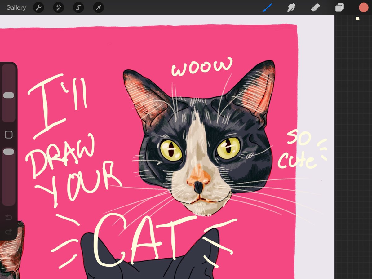 catinluv⁷ tweet media