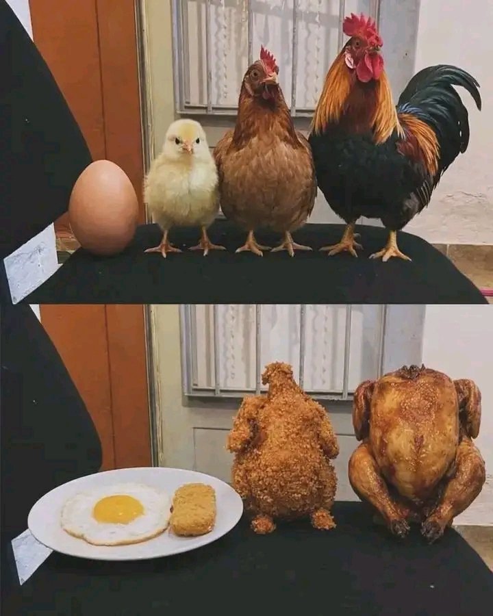 IMPACT🥴 tweet media