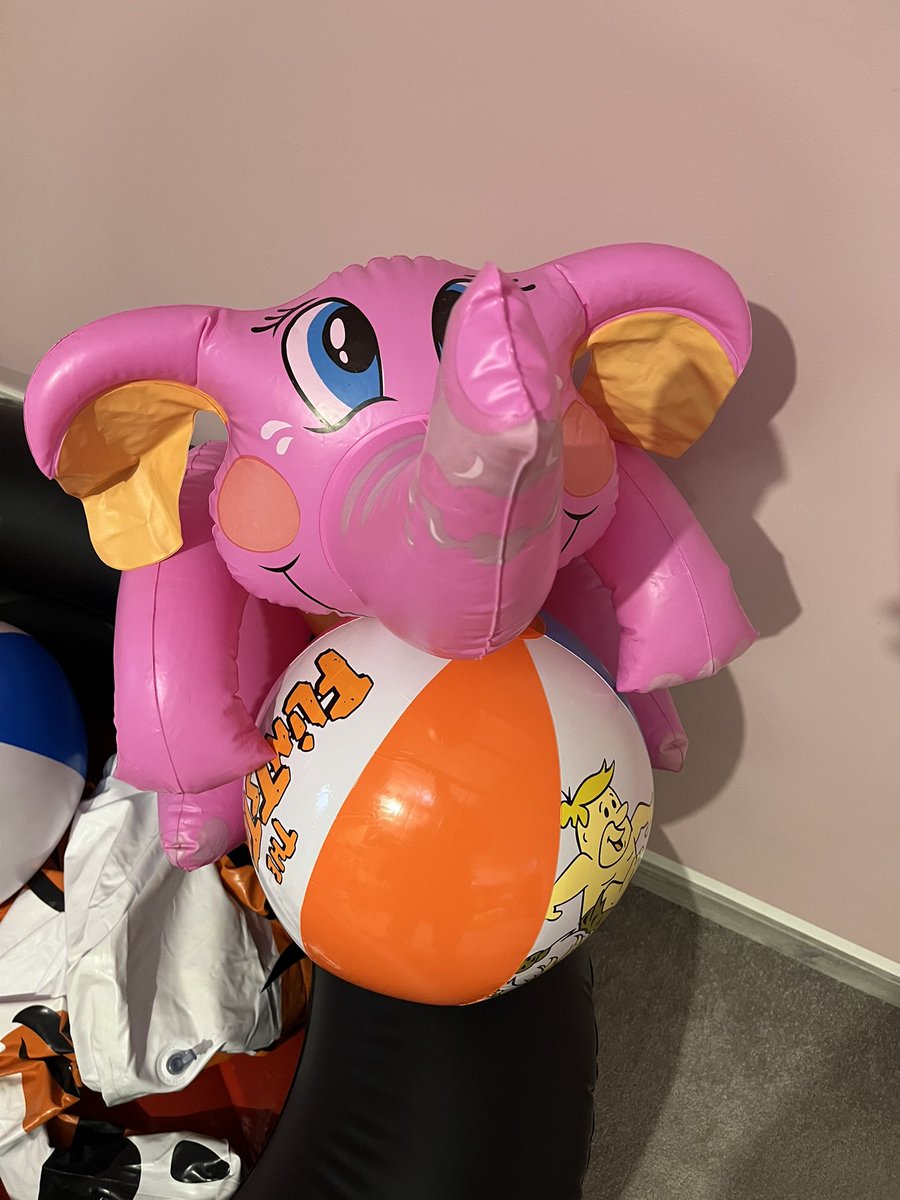 Gray (Grace) tweet media