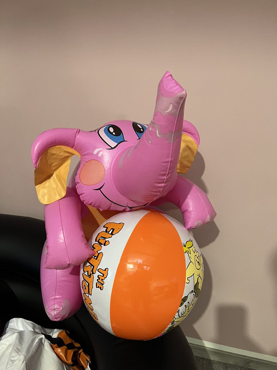 Gray (Grace) tweet media