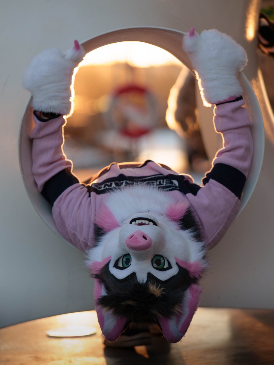 BeerYeener's tweet photo. Some pics from #NFC2026 
First time trying out furry portraits! 
Had a lot of fun📸 https://t.co/kphktlFwnz