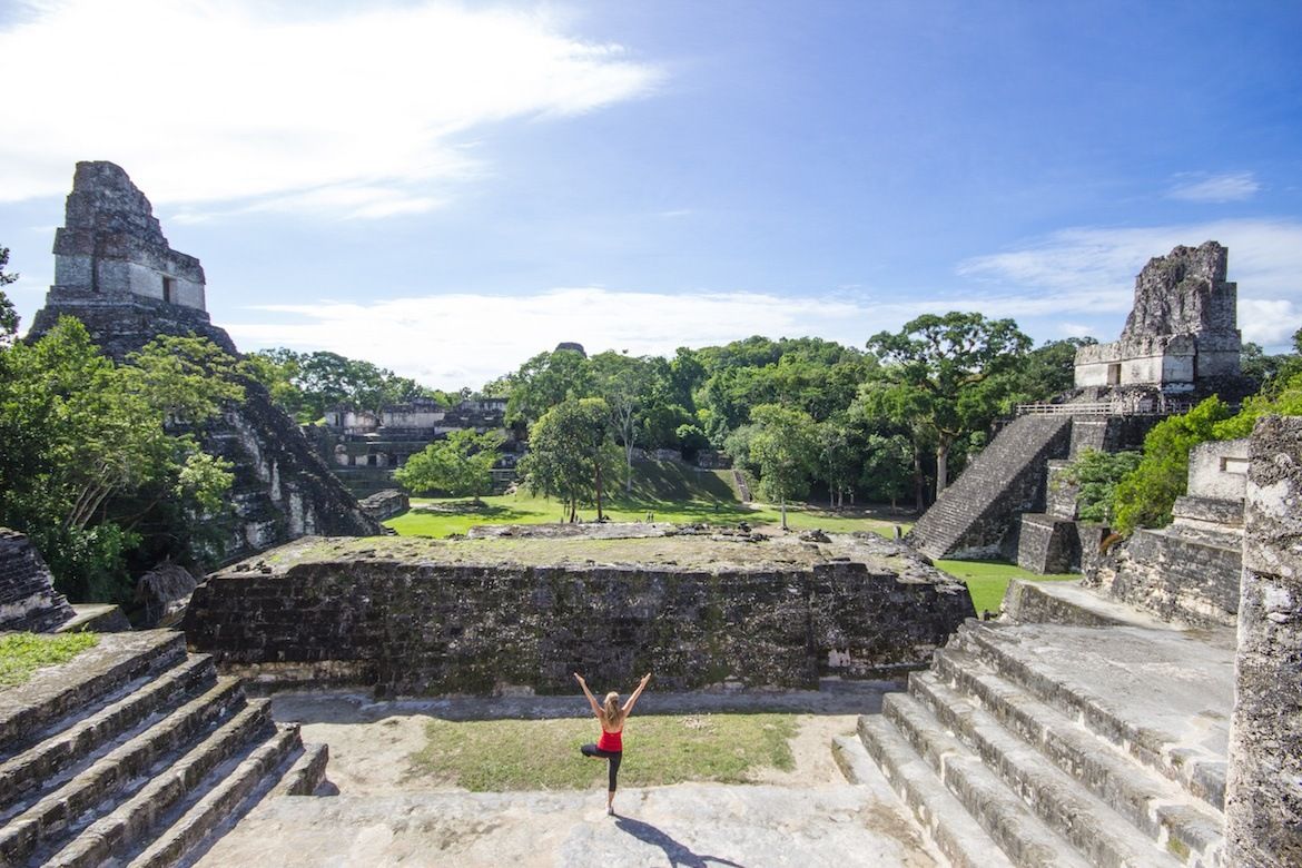 Globe Guide tweet media