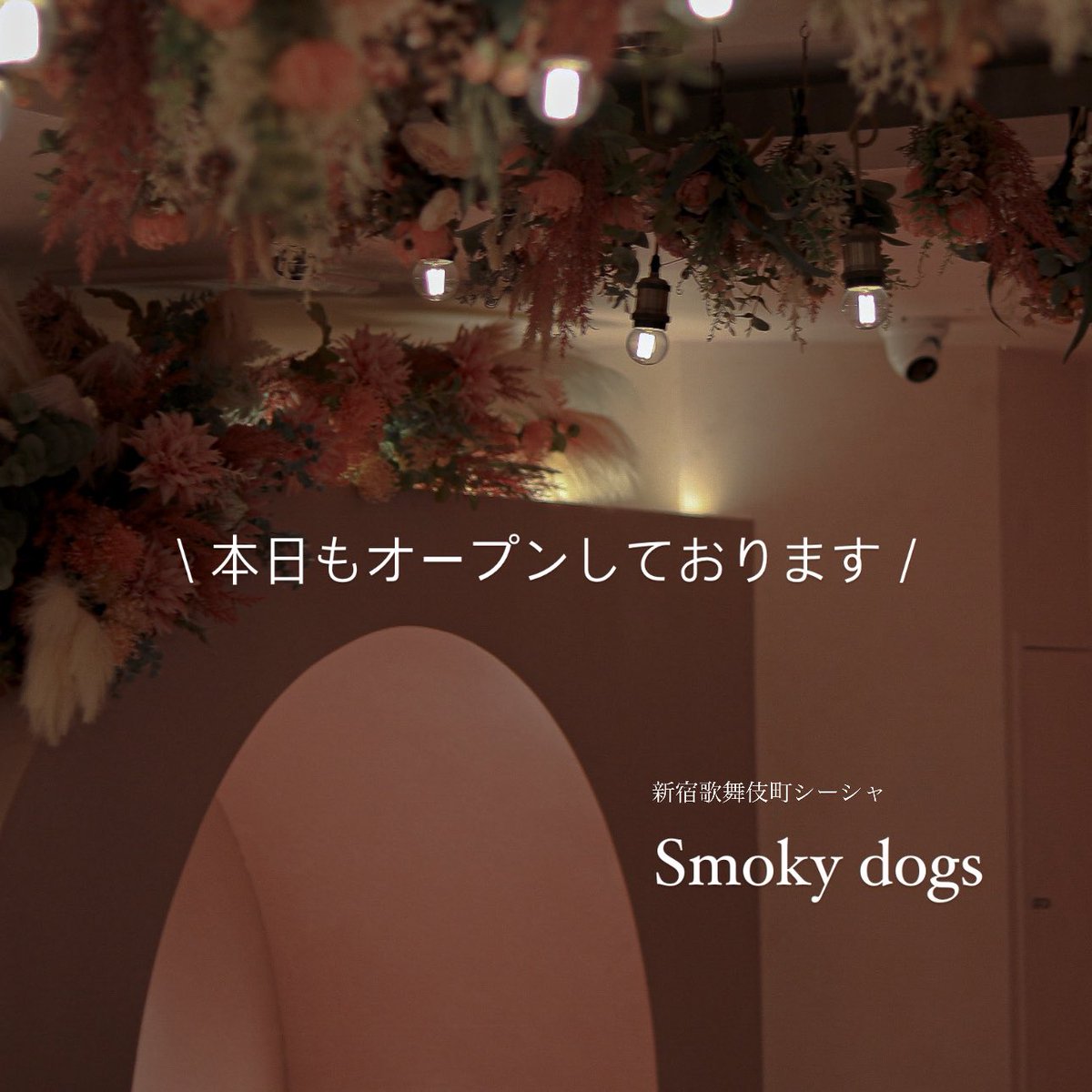 Shisha cafe Smokydogs 歌舞伎町 tweet media