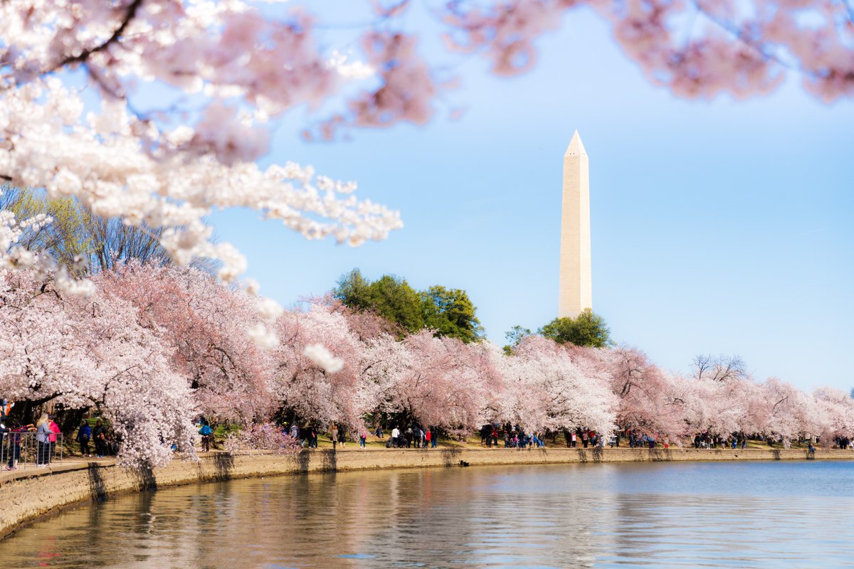 Visit Washington, DC tweet media