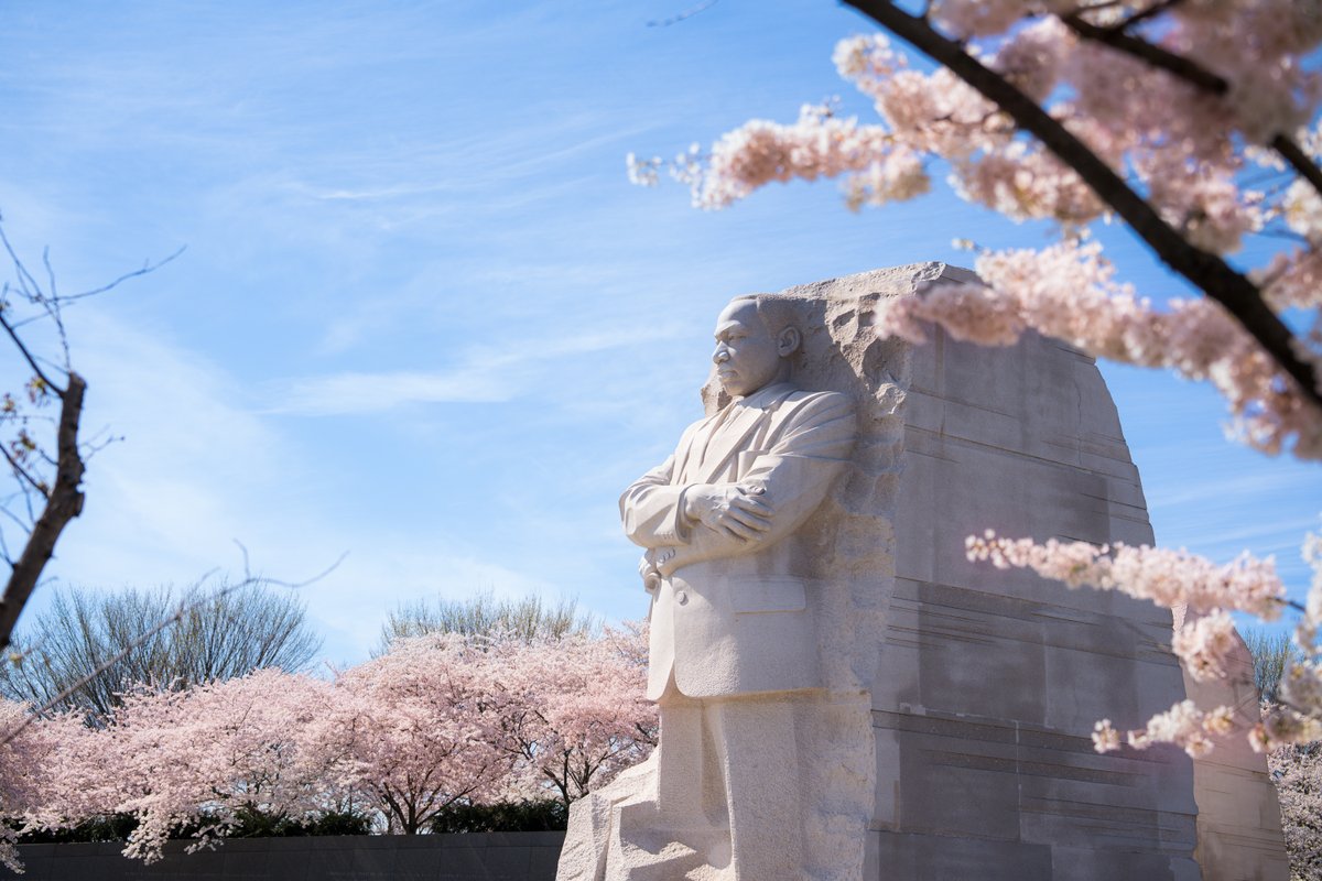 Visit Washington, DC tweet media