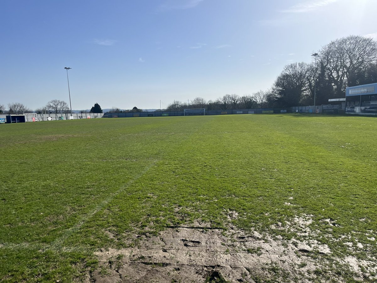 nick collick tweet media